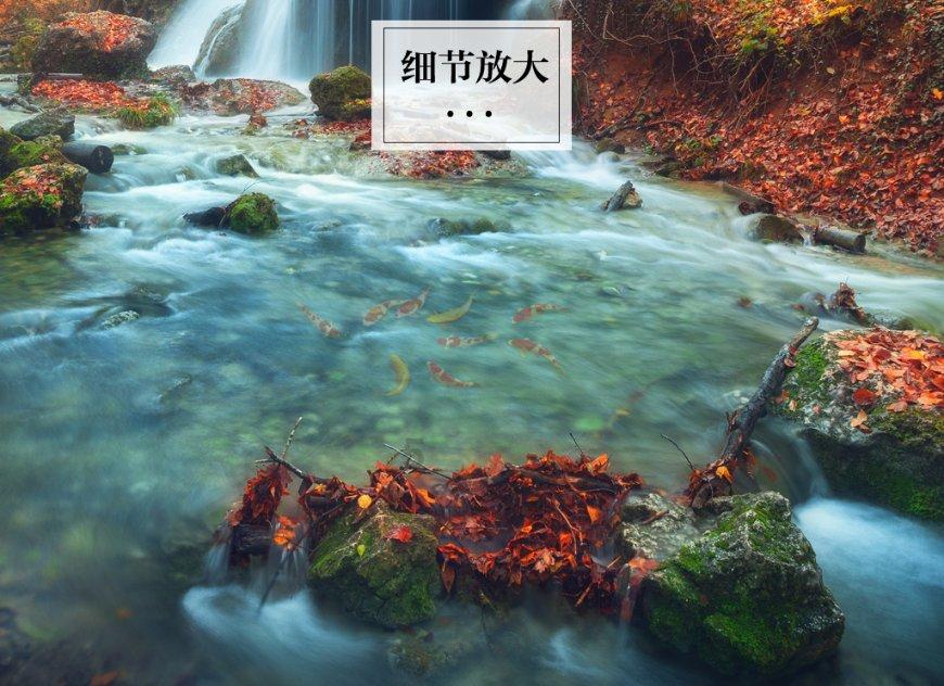 全民剧本大师内置菜单